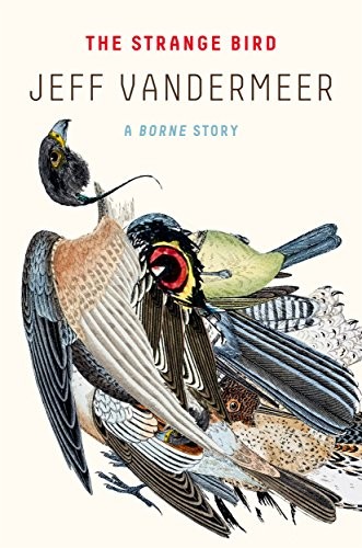 Jeff VanderMeer: The Strange Bird: A Borne Story (2018, MCD x FSG Originals)